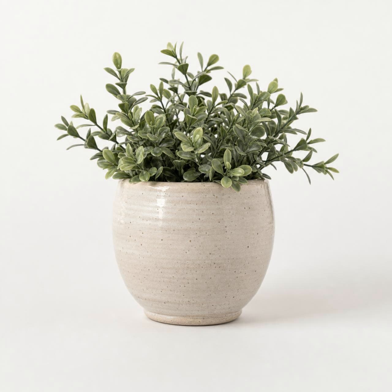 Mirrorfolio Vitals Planter